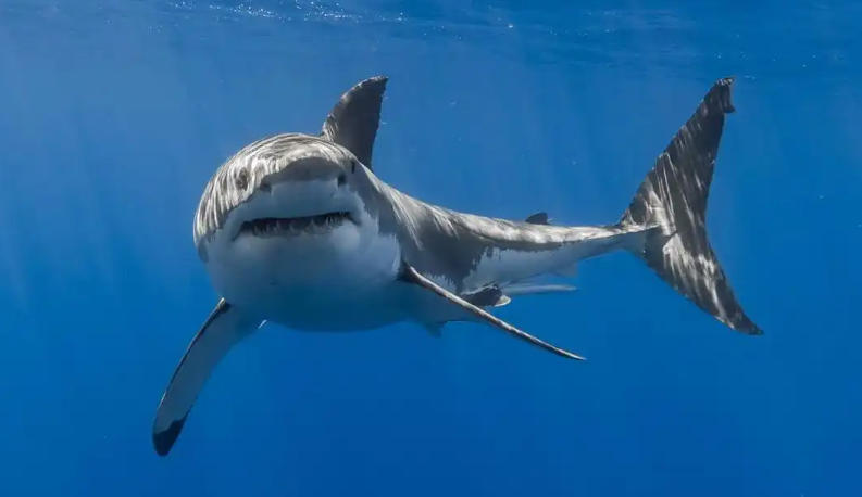 福州欣景园环境设备有限公司轮播图1